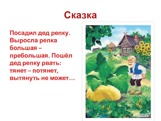 Сказка Посадил дед репку. Выросла репка большая – пребольшая. Пошёл дед репку