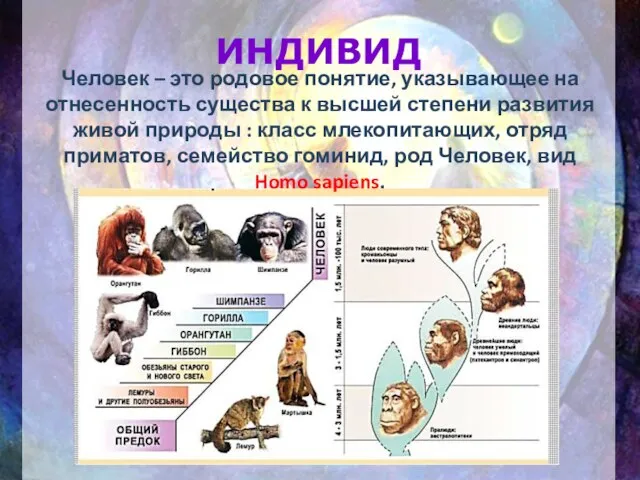 ИНДИВИД Человек – это родовое понятие, указывающее на отнесенность существа к высшей