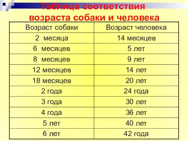 Таблица соответствия возраста собаки и человека