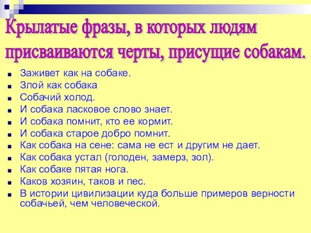 Заживет как на собаке. Злой как собака Собачий холод. И собака ласковое