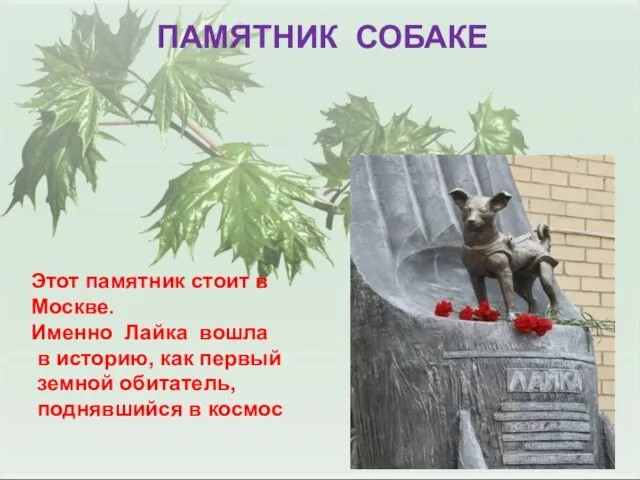 ПАМЯТНИК СОБАКЕ Этот памятник стоит в Москве. Именно Лайка вошла в историю,