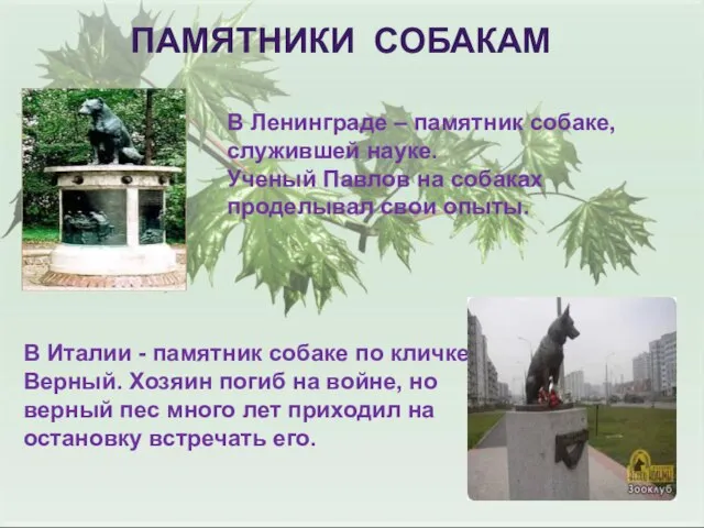 ПАМЯТНИКИ СОБАКАМ В Ленинграде – памятник собаке, служившей науке. Ученый Павлов на