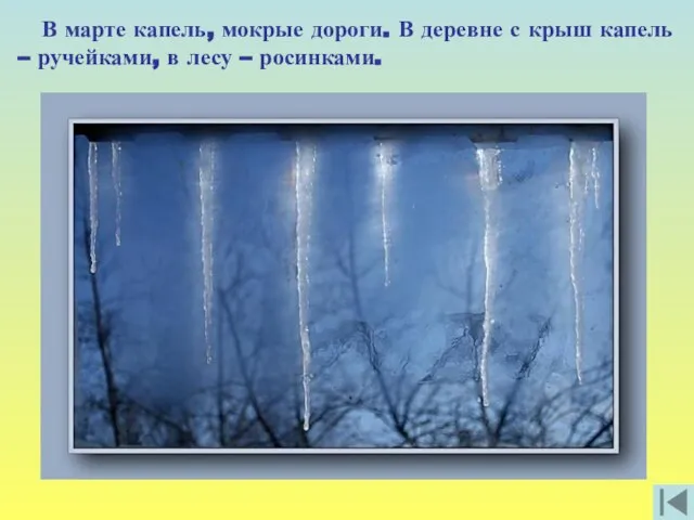 В марте капель, мокрые дороги. В деревне с крыш капель – ручейками, в лесу – росинками.