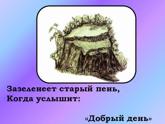 Зазеленеет старый пень, Когда услышит: «Добрый день»