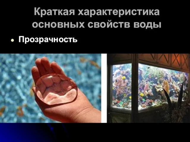 Краткая характеристика основных свойств воды Прозрачность