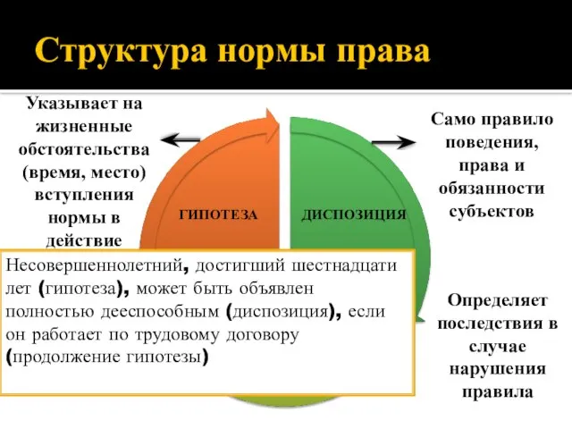 Структура нормы права Указывает на жизненные обстоятельства (время, место) вступления нормы в