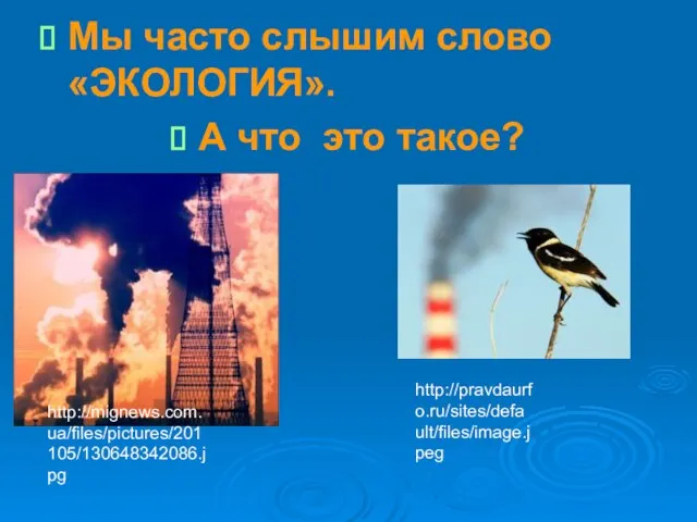 Мы часто слышим слово «ЭКОЛОГИЯ». А что это такое? http://mignews.com.ua/files/pictures/201105/130648342086.jpg http://pravdaurfo.ru/sites/default/files/image.jpeg