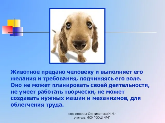 подготовила Спиридонова Н.Н.- учитель МОУ "СОШ №4" Животное предано человеку и выполняет