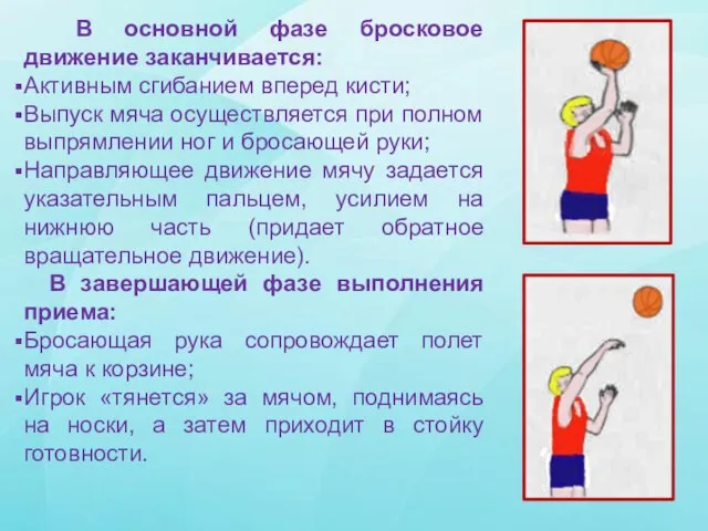 В основной фазе бросковое движение заканчивается: Активным сгибанием вперед кисти; Выпуск мяча