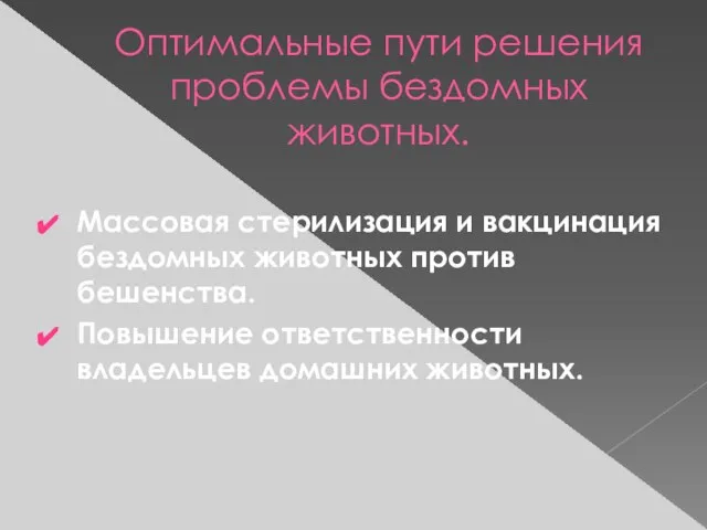 Оптимальные пути решения проблемы бездомных животных. Массовая стерилизация и вакцинация бездомных животных