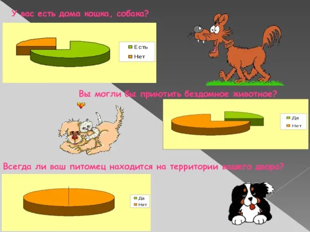 У вас есть дома кошка, собака? Вы могли бы приютить бездомное животное?