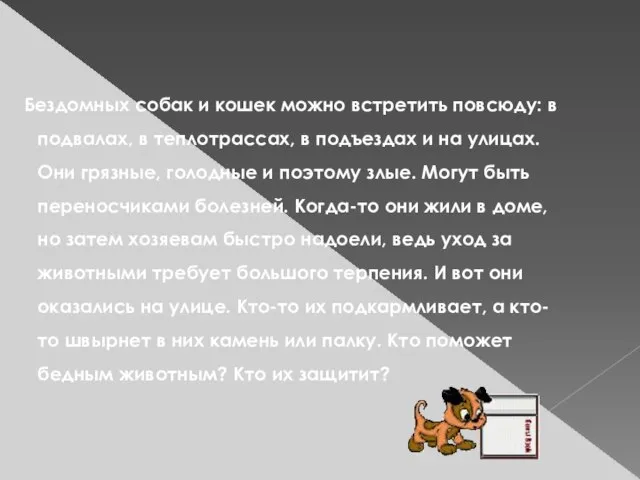 Бездомных собак и кошек можно встретить повсюду: в подвалах, в теплотрассах, в