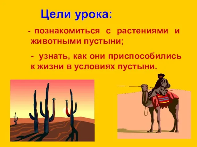 Цели урока: познакомиться с растениями и животными пустыни; - узнать, как они