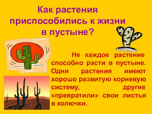 Как растения приспособились к жизни в пустыне? Не каждое растение способно расти