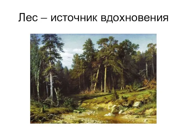 Лес – источник вдохновения