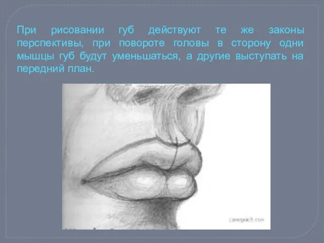 При рисовании губ действуют те же законы перспективы, при повороте головы в