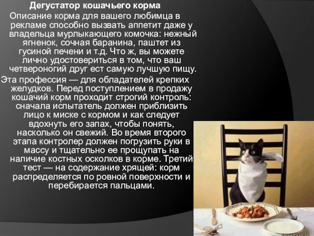 Дегустатор кошачьего корма Описание корма для вашего любимца в рекламе способно вызвать