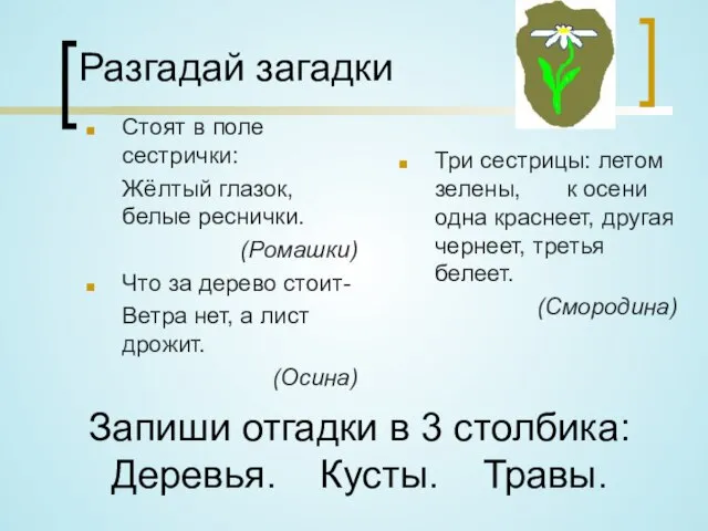 Разгадай загадки Стоят в поле сестрички: Жёлтый глазок, белые реснички. (Ромашки) Что