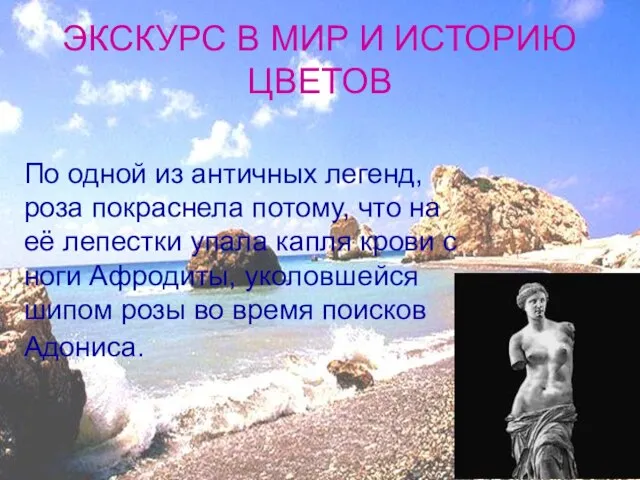 ЭКСКУРС В МИР И ИСТОРИЮ ЦВЕТОВ По одной из античных легенд, роза