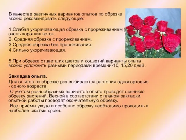 В качестве различных вариантов опытов по обрезке можно рекомендовать следующие: 1.Слабая укорачивающая