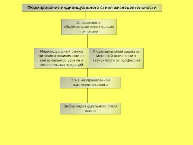 Формирование индивидуального стиля жизнедеятельности Определяется объективными социальными причинами Индивидуальный режим питания в