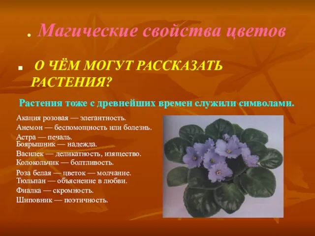 . Магические свойства цветов О ЧЁМ МОГУТ РАССКАЗАТЬ РАСТЕНИЯ? Растения тоже с