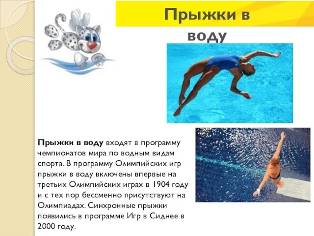 Прыжки в воду входят в программу чемпионатов мира по водным видам спорта.