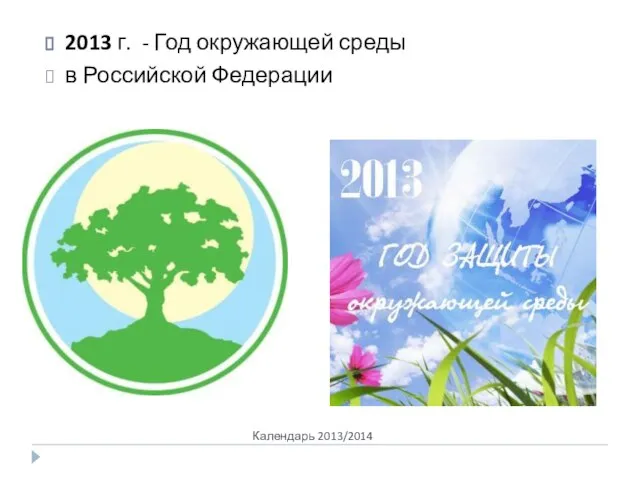 Календарь 2013/2014 2013 г. - Год окружающей среды в Российской Федерации
