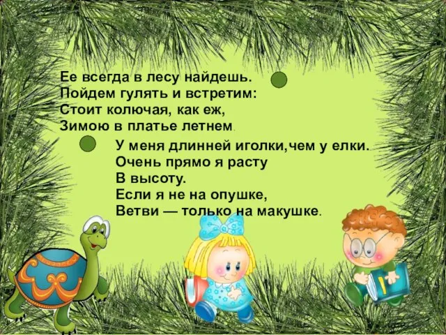 Ее всегда в лесу найдешь. Пойдем гулять и встретим: Стоит колючая, как