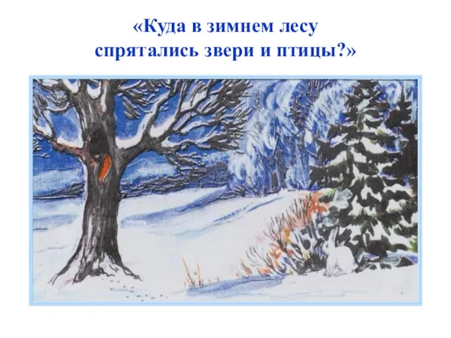 «Куда в зимнем лесу спрятались звери и птицы?»