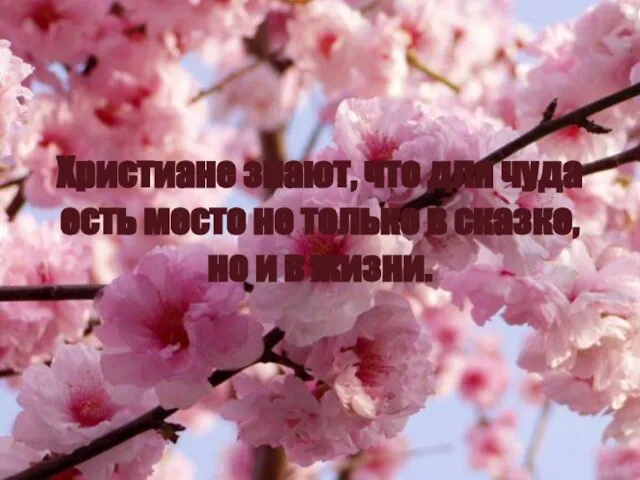 Христиане знают, что для чуда есть место не только в сказке, но и в жизни.