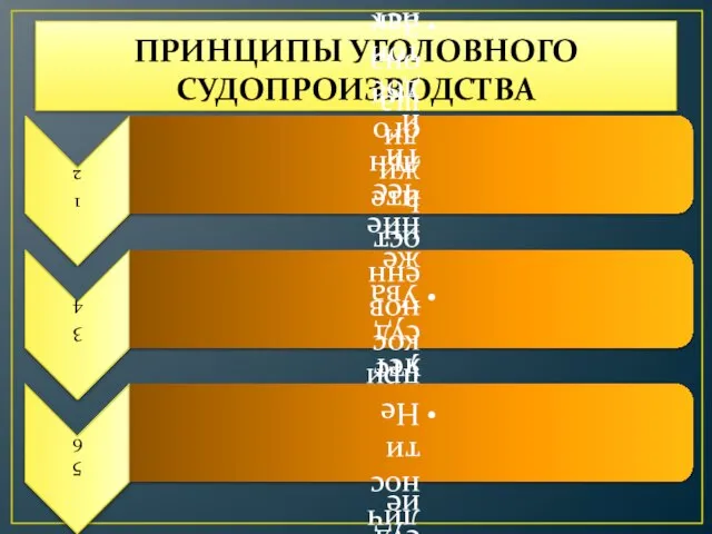 ПРИНЦИПЫ УГОЛОВНОГО СУДОПРОИЗВОДСТВА