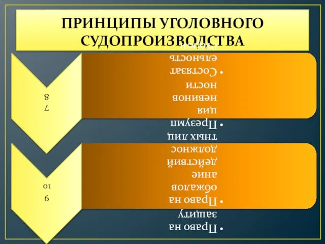 ПРИНЦИПЫ УГОЛОВНОГО СУДОПРОИЗВОДСТВА