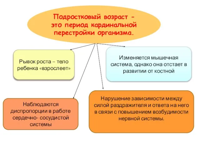 Подростковый возраст - это период кардинальной перестройки организма. Рывок роста – тело