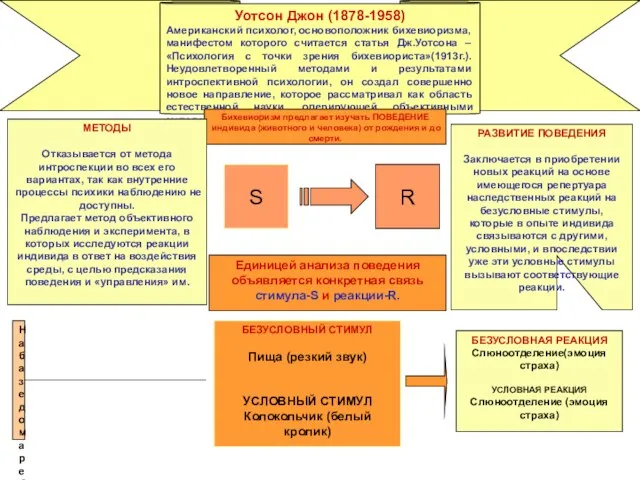 На базе дома ребенка Уотсон проводил опыты, исследуя процессы научения у детей.