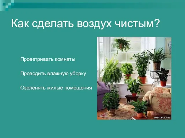 Как сделать воздух чистым? Проветривать комнаты Проводить влажную уборку Озеленять жилые помещения