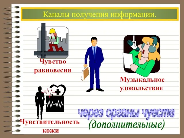 Каналы получения информации. через органы чувств (дополнительные)