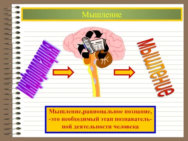 Мышление информация мышление Мышление,рациональное познание, -это необходимый этап познаватель- ной деятельности человека