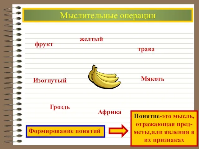 Мыслительные операции фрукт желтый трава Изогнутый Гроздь Африка Мякоть Формирование понятий Понятие-это