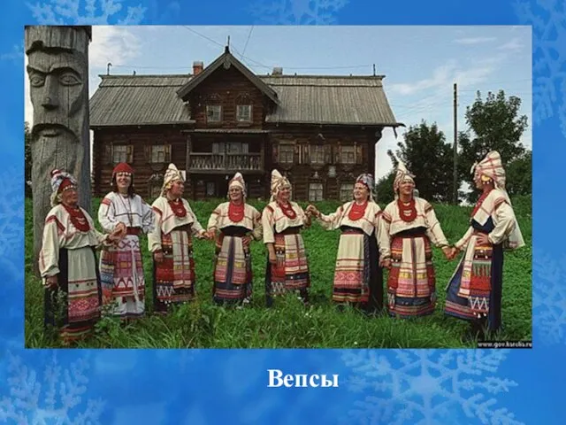 Вепсы