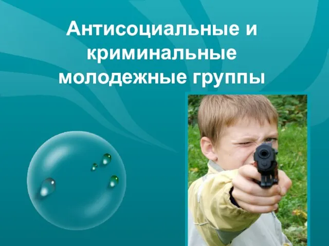 Антонина Сергеевна Матвиенко 2010г. Антисоциальные и криминальные молодежные группы