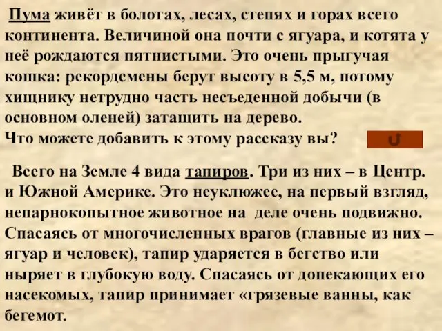 Всего на Земле 4 вида тапиров. Три из них – в Центр.