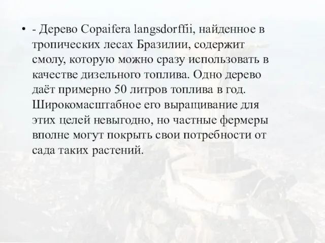 - Дерево Copaifera langsdorffii, найденное в тропических лесах Бразилии, содержит смолу, которую