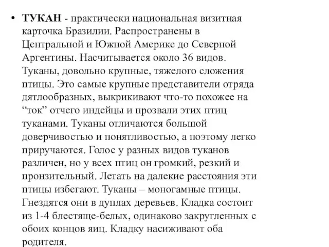 ТУКАН - практически национальная визитная карточка Бразилии. Распространены в Центральной и Южной