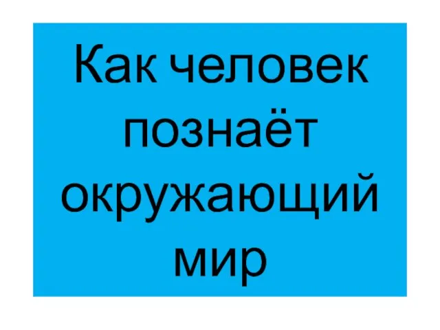 Презентация на тему Как человек познает окружающий мир