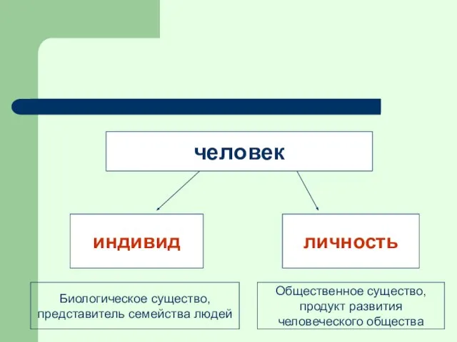 человек индивид личность Биологическое существо, представитель семейства людей Общественное существо, продукт развития человеческого общества