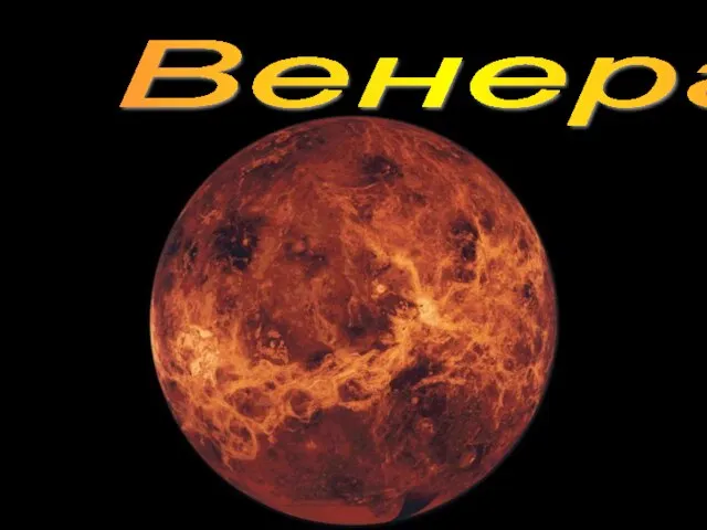 Венера