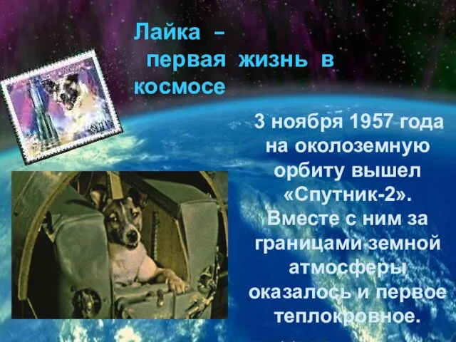 3 ноября 1957 года на околоземную орбиту вышел «Спутник-2». Вместе с ним