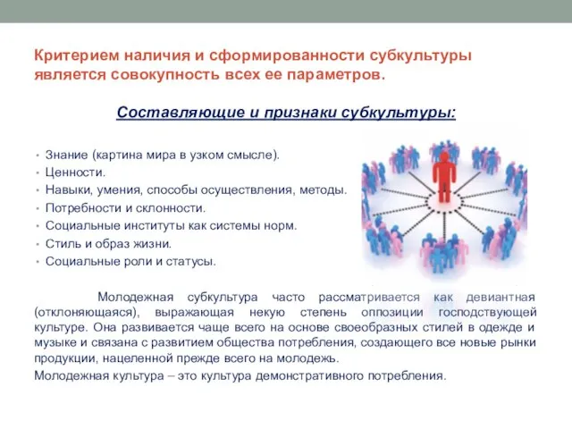 Критерием наличия и сформированности субкультуры является совокупность всех ее параметров. Составляющие и