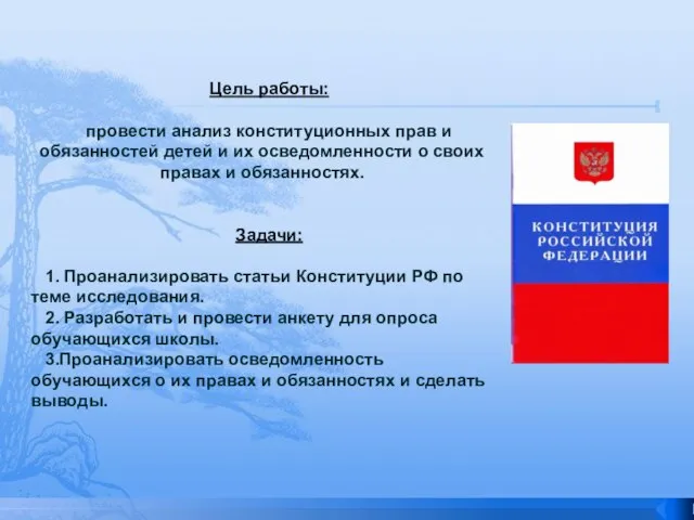 Цель работы: провести анализ конституционных прав и обязанностей детей и их осведомленности